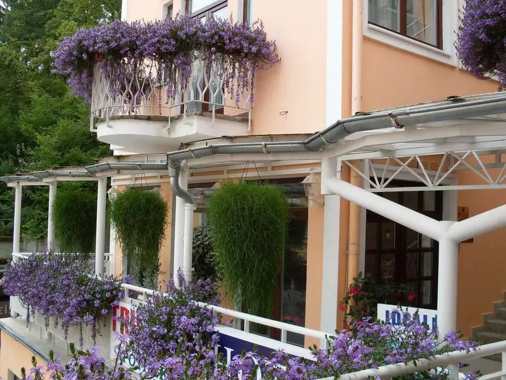Photo 3 of Hotel La Provence